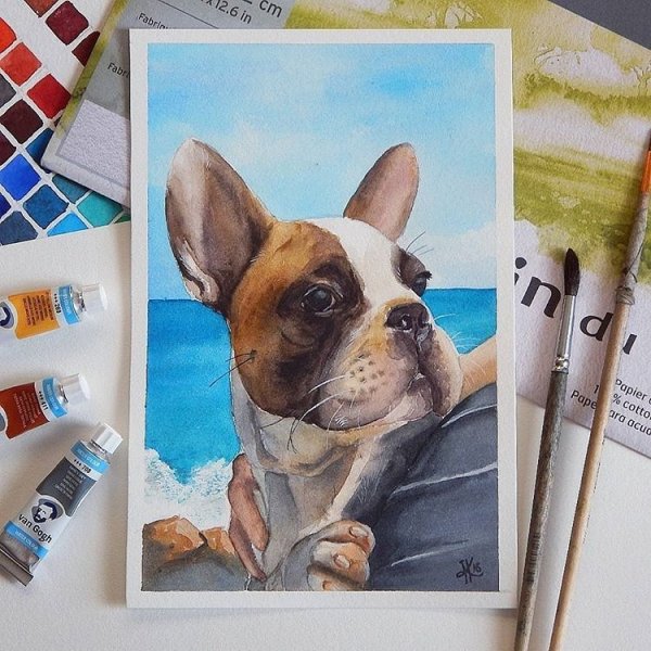 Французский бульдог акварелью