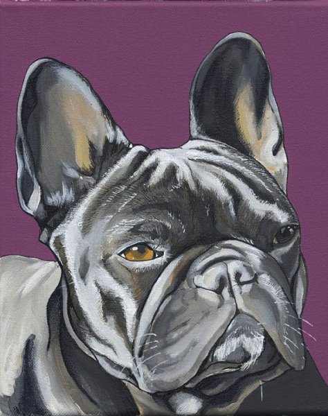Французский бульдог акварелью
