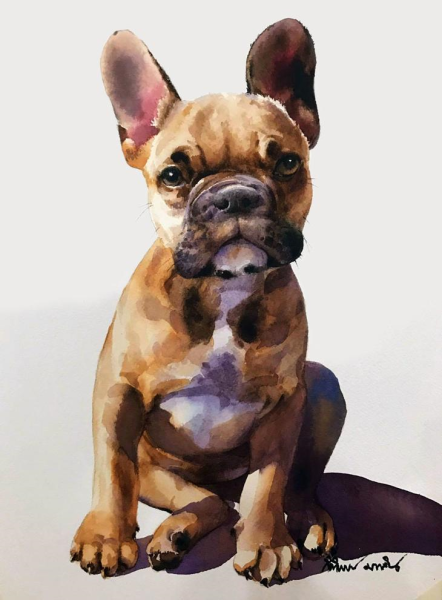 Акварель с Бостон терьером