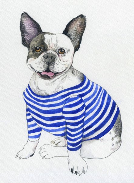 Скетчинг французский бульдог