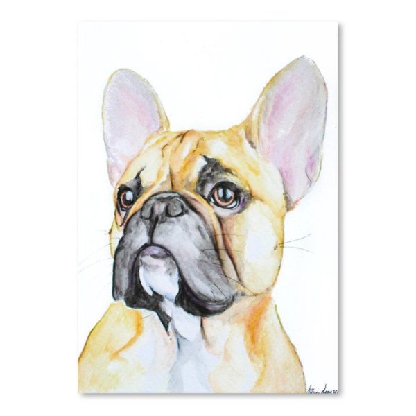 Французский бульдог акварелью