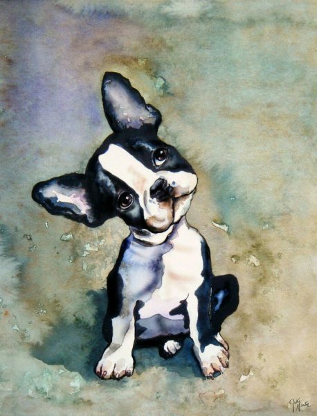 Французский бульдог арт