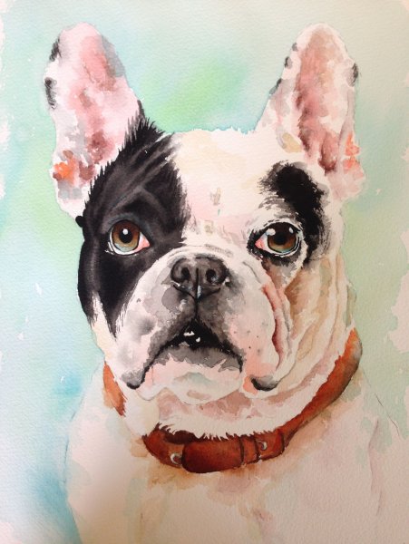 Анималистика художника - акварелиста Kitipong Maksin (Bangkok-Thailand )