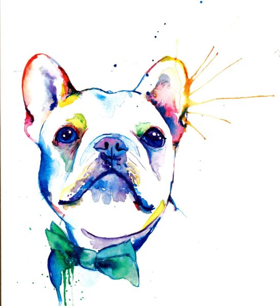 Животные в стиле акварель