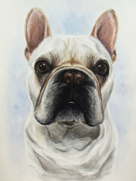 Тату французский бульдог акварель