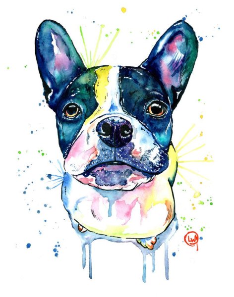 Бульдог акварель
