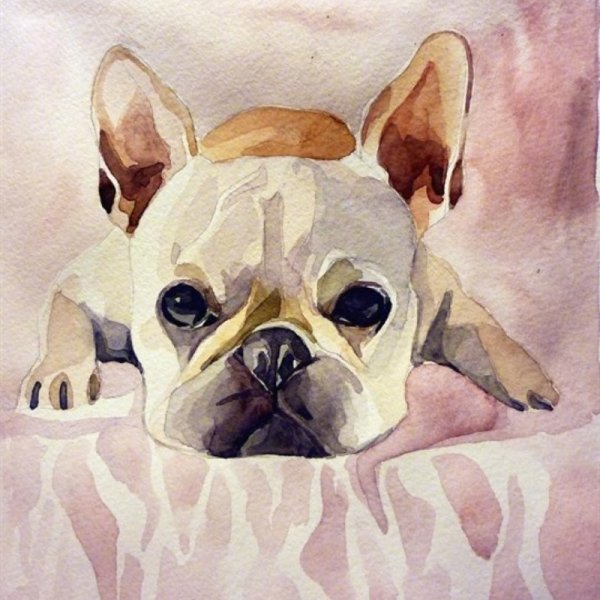 Вышивание крестиком французский бульдог