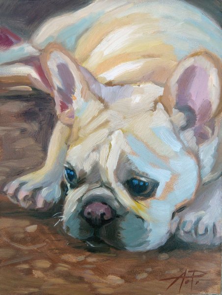 Французский бульдог иллюстрация