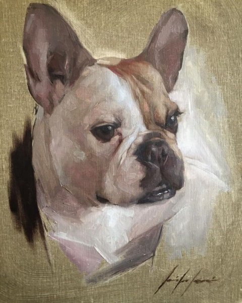 Французский бульдог акварелью