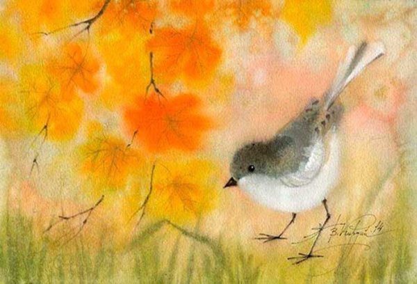 Виктория Кирдий птицы