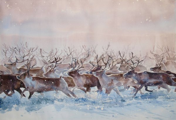 Северная олениха тундра художник