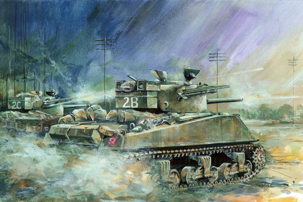 Шерман тюльпан