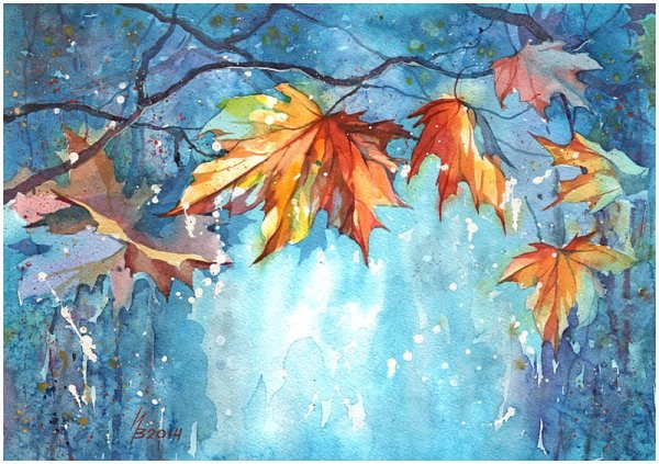 Виктории Косенко ( Владивосток)