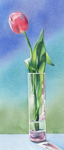 Розовые тюльпаны букет акварель