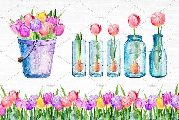 Тюльпаны в вазе акварелью