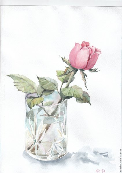Ваза с цветами акварелью