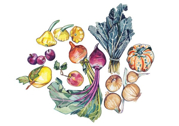 Овощи скетч