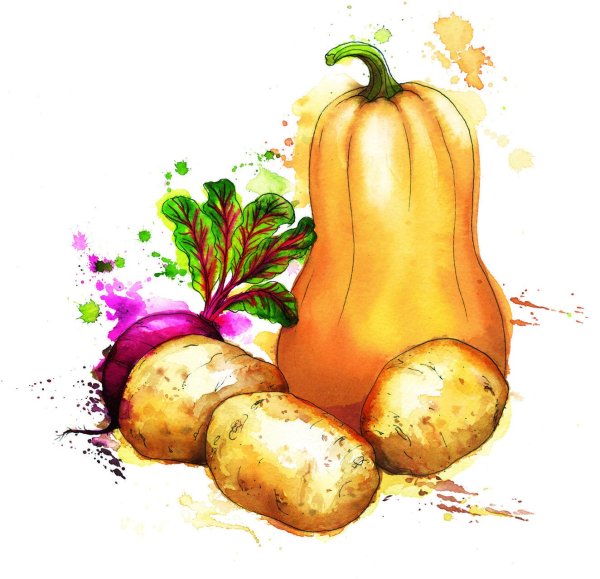 Овощи акварелью