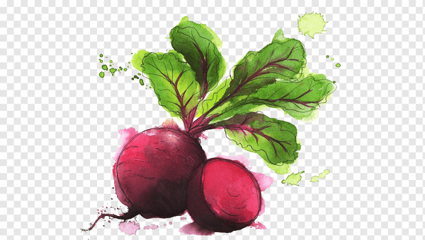 Овощи акварелью