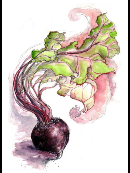 Лук акварель Андрияки