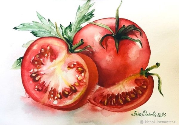 Черри помидорки акварелью