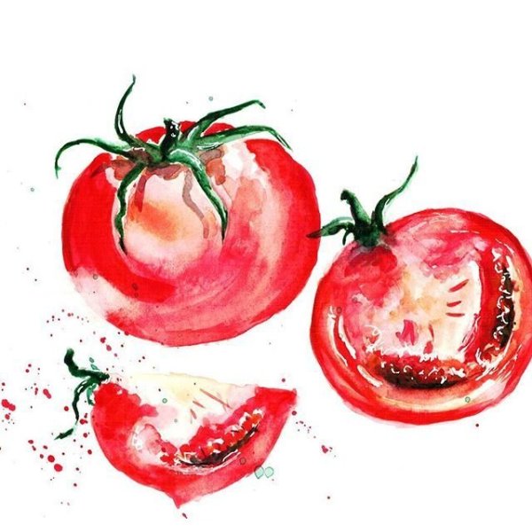 Помидор акварелью поэтапное рисование