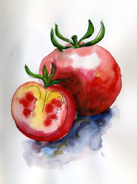 Помидор для срисовки