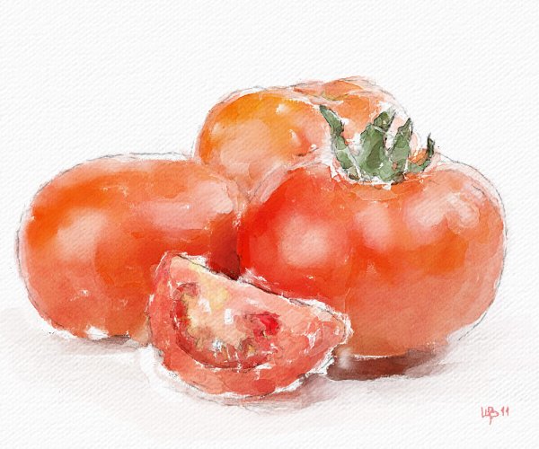 Томат акварель