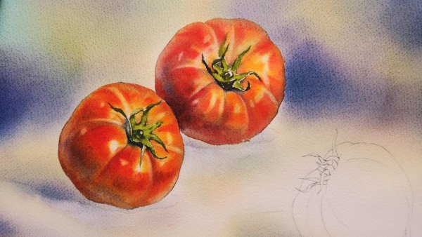 Помидор акварелью