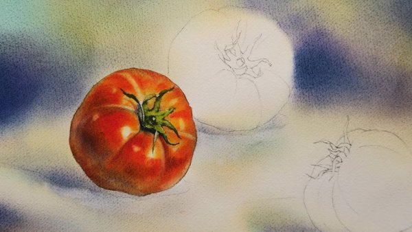 Акварельный скетч помидор