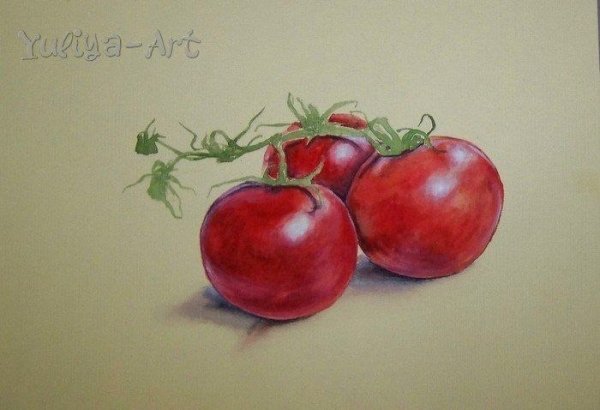 Томат акварель Аэлита