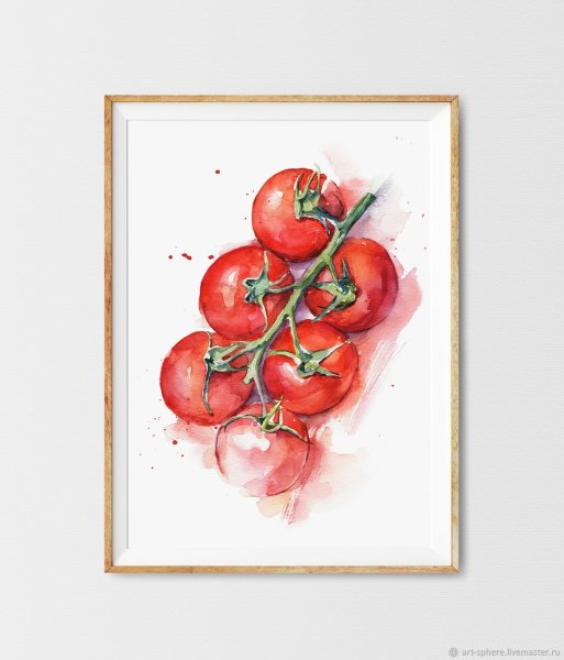 Помидор акварелью Залегина