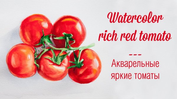Помидор акварелью Андрияка