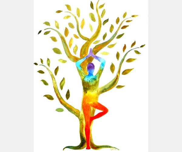 Дерево жизни йога
