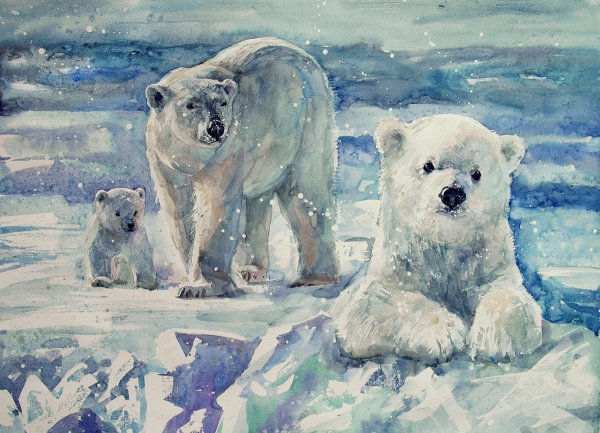 Акварельные белые медведи