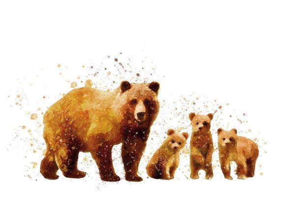 Медведь акварелью