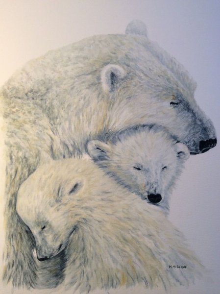 Картина белые медведи