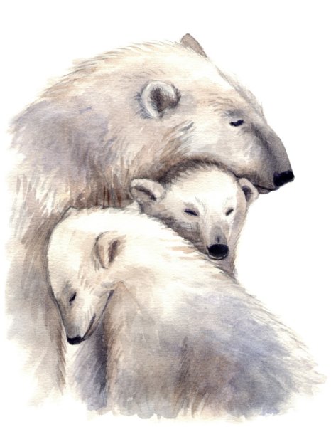 Семья медведей акварель