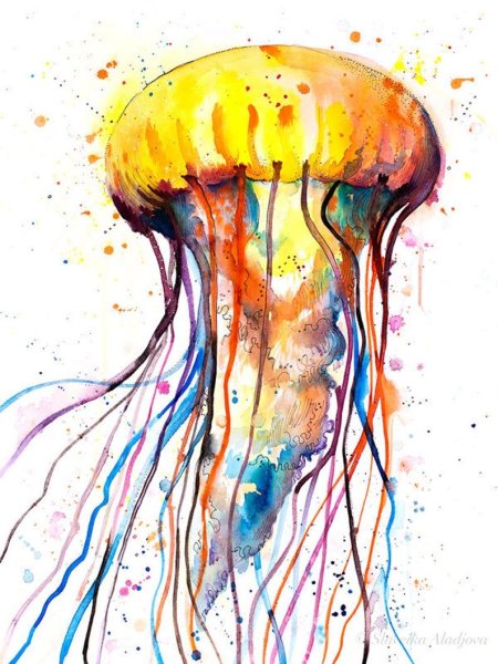 Медуза акварелью