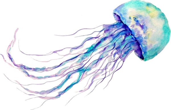 Медуза акварелью