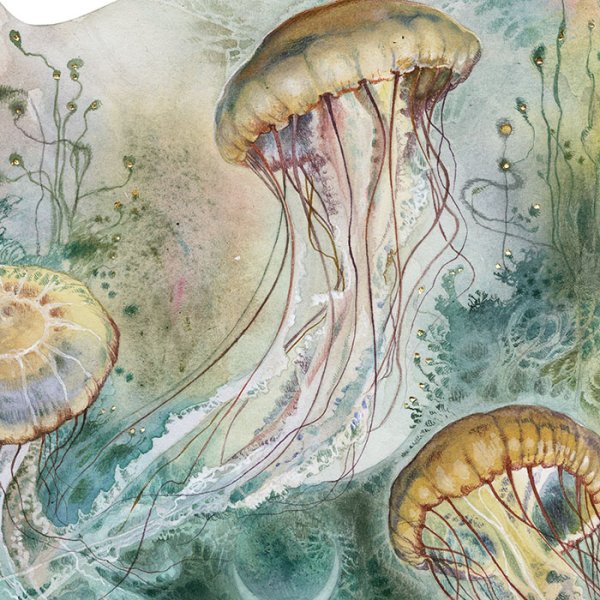 Медузы убийцы