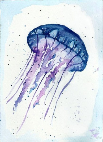 Скетч медузы акварелью
