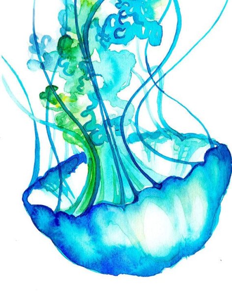 Медуза акварелью
