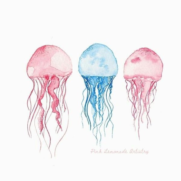 Медуза акварелью