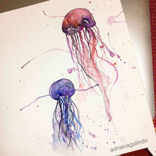 Медуза акварельными карандашами