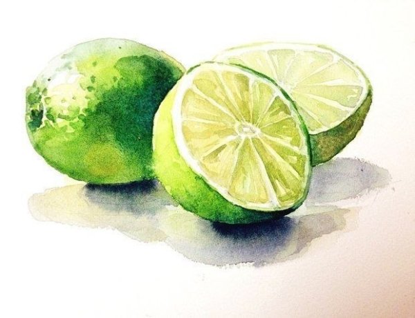 Скетчинг фрукты