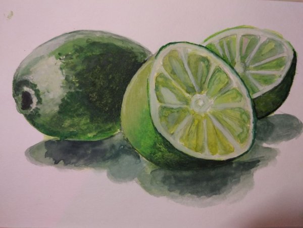 Фрукты акварелью лайм