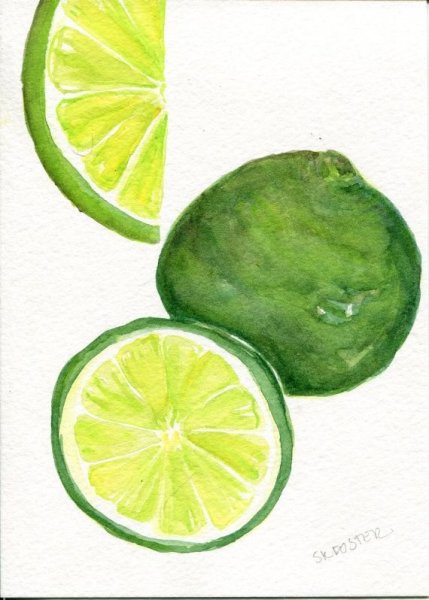 Лайм акварелью