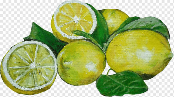 Лайм акварелью