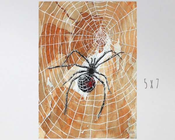 Паук картина